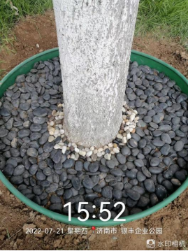 ҵ΢Žͼ_16591467475329.png